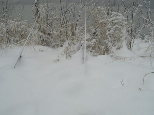 Attached Image