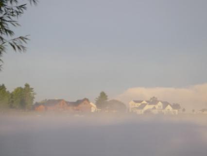 Attached Image