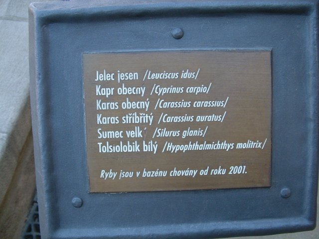 Attached Image