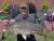 Fishing Beltzville Lake, Pa - last post by Doug Carper Kindt
