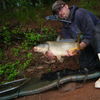 Matt Janiszewski 11lb3oz
