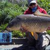 Steve Braddy 31.1big4andtoks