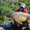 Steve Braddy 33.15big4andtoks