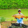 Brad Thomas  29lb 6oz Big 4