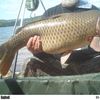 Barry Howard   30lb 4oz