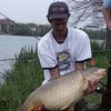 alcommon